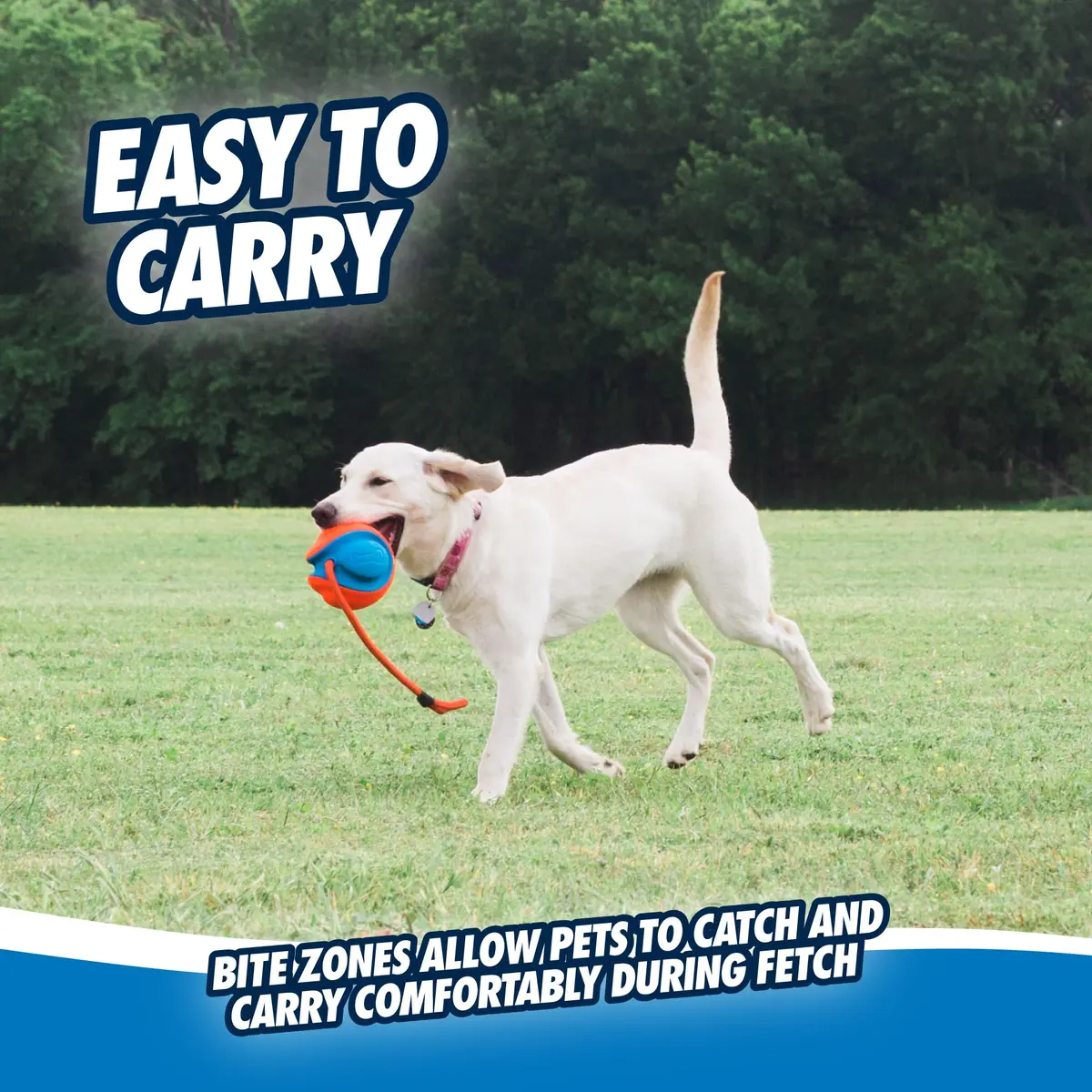 Chuckit! Rope Fetch Dog Toy 14 cm (5.5-in) Ball on Rope | Durable EVA Rubber - view 6