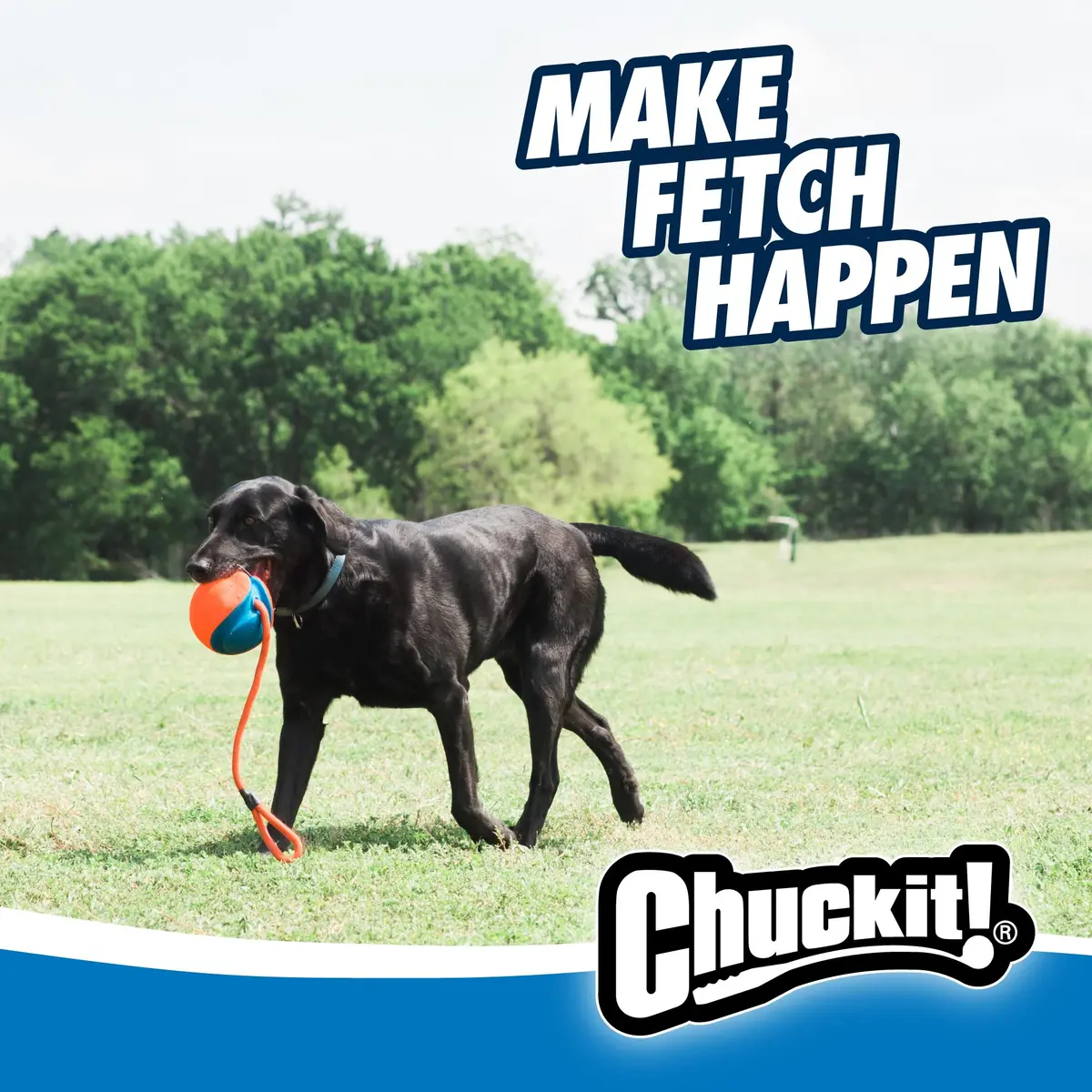 Chuckit! Rope Fetch Dog Toy 14 cm (5.5-in) Ball on Rope | Durable EVA Rubber - view 8