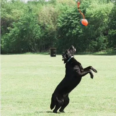 Chuckit! Rope Fetch Dog Toy 14 cm (5.5-in) Ball on Rope | Durable EVA Rubber - view 2
