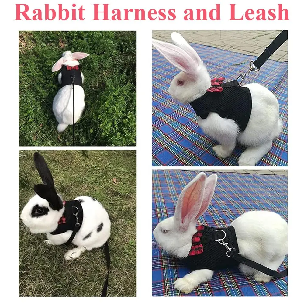 ASOCEA Adjustable Bunny Harness and Leash Breathable Mesh Vest for Small Animals (30-34cm Neck, 26-30cm Chest) | Soft Pet Harness Vest for Rabbits & Ferrets - view 5