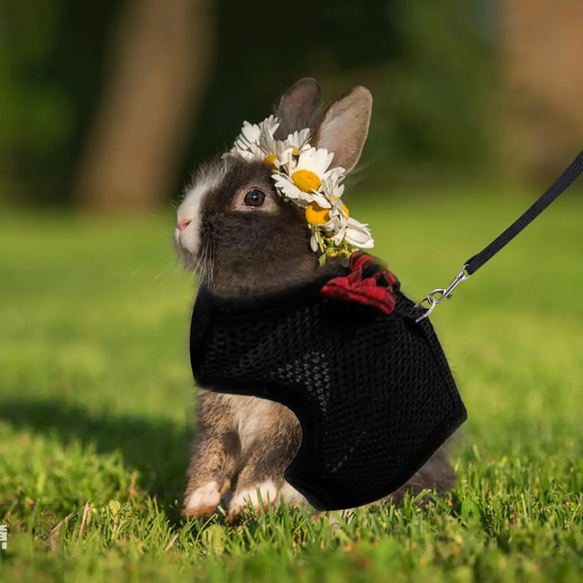 ASOCEA Adjustable Bunny Harness and Leash Breathable Mesh Vest for Small Animals (30-34cm Neck, 26-30cm Chest) | Soft Pet Harness Vest for Rabbits & Ferrets - view 6