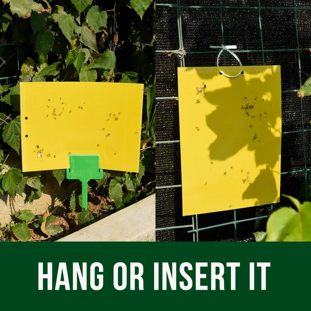 Garsum Yellow Sticky Traps 20 Pack 6x8 in | Natural Pest Control for Flying Insects - view 2