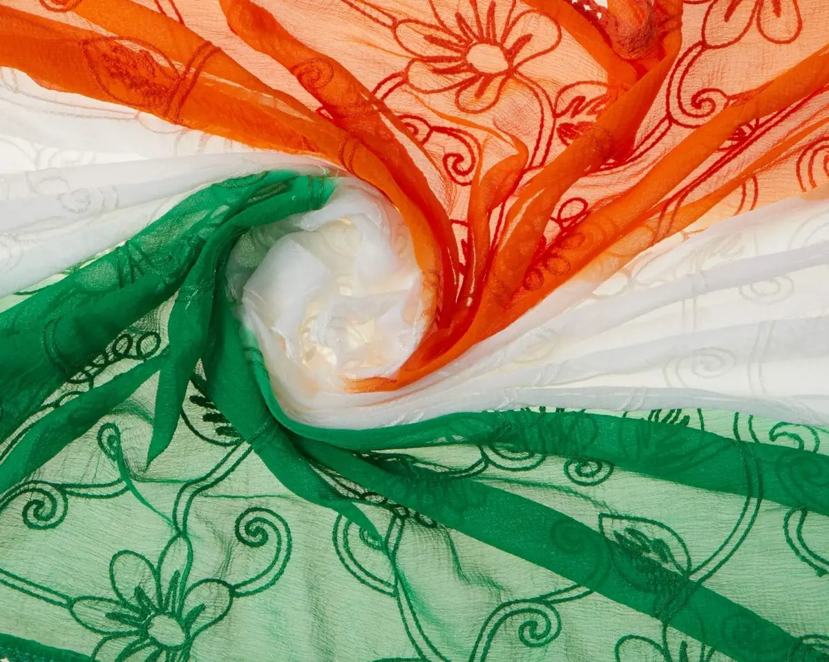 DUPATTA BAZAAR Women's Multi Colour Dupatta 2.4m | Embroidered Chiffon for Indian Independence Day - view 4