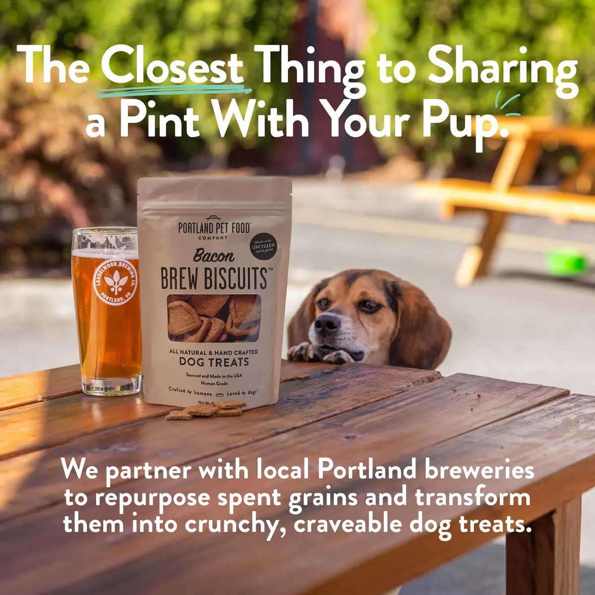 CRAFTED BY HUMANS LOVED BY DOGS Brew Biscuits, Crunchy Bacon Dog Treats, 5 oz | Natural, Human-Grade, USA-Sourced - view 5
