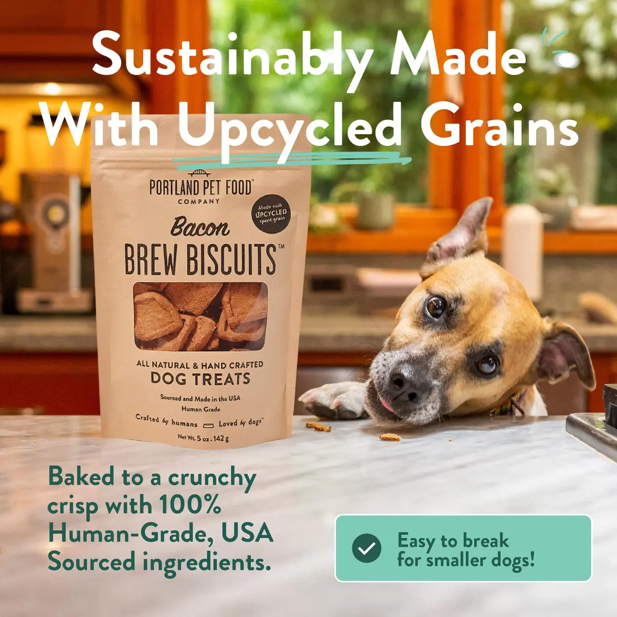 CRAFTED BY HUMANS LOVED BY DOGS Brew Biscuits, Crunchy Bacon Dog Treats, 5 oz | Natural, Human-Grade, USA-Sourced - view 2