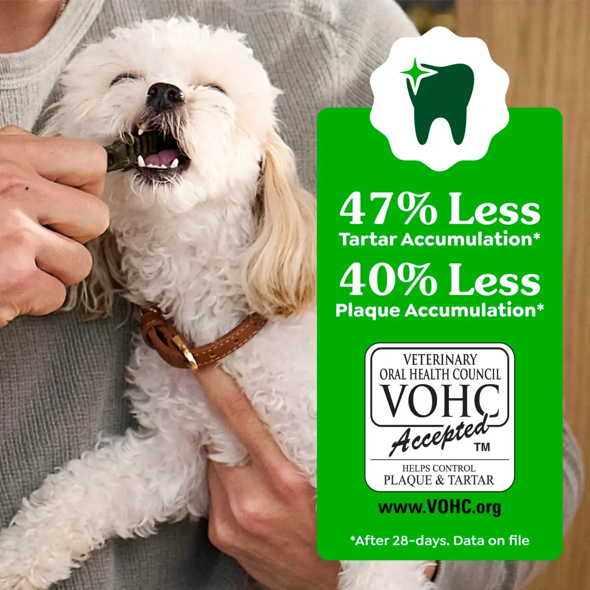 Greenies Teenie Original Natural Dental Dog Treats, Chicken, 192 Count (Pack of 1) | Vet-Recommended for Small Dogs 5-15 lbs - view 5