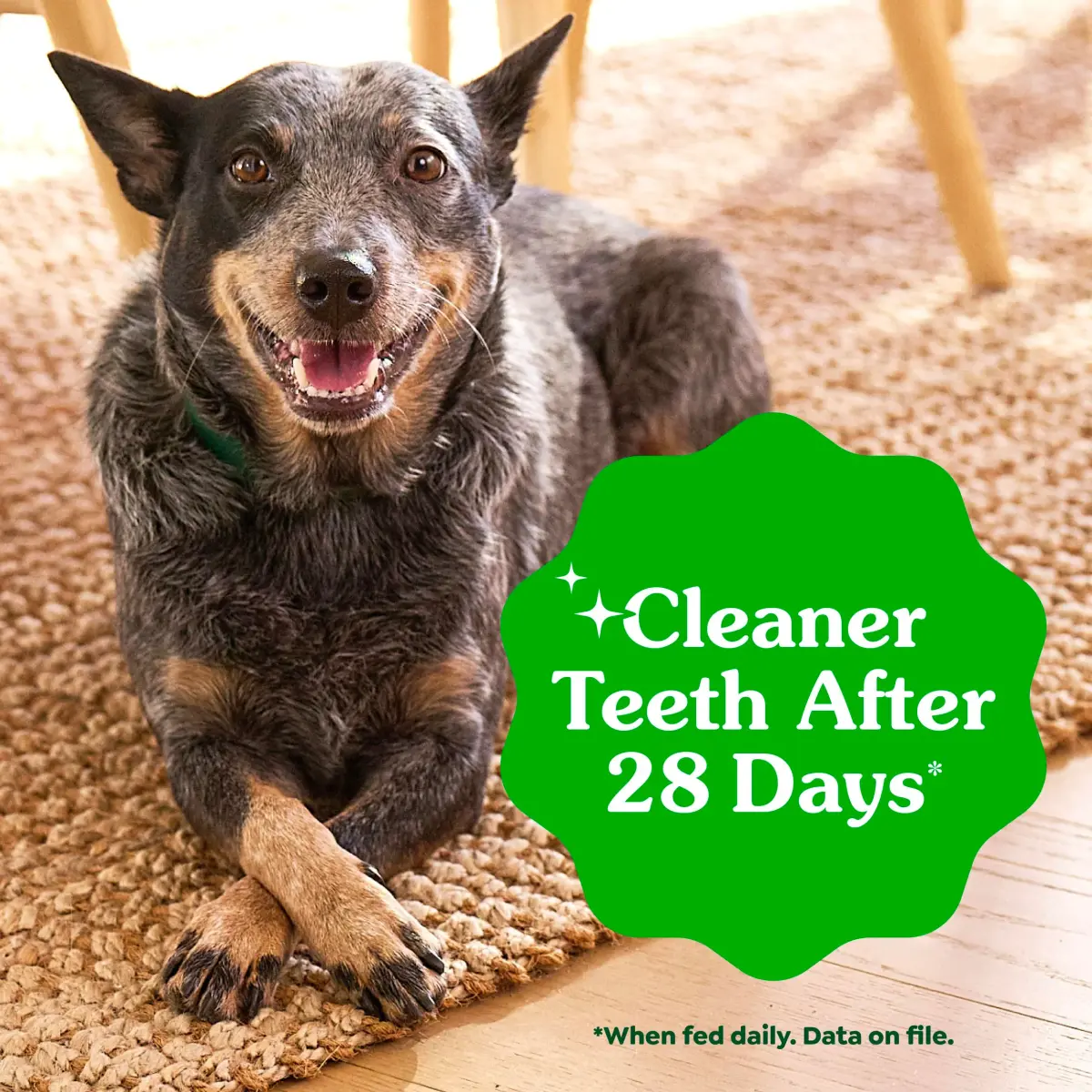 Greenies Teenie Original Natural Dental Dog Treats, Chicken, 192 Count (Pack of 1) | Vet-Recommended for Small Dogs 5-15 lbs - view 4