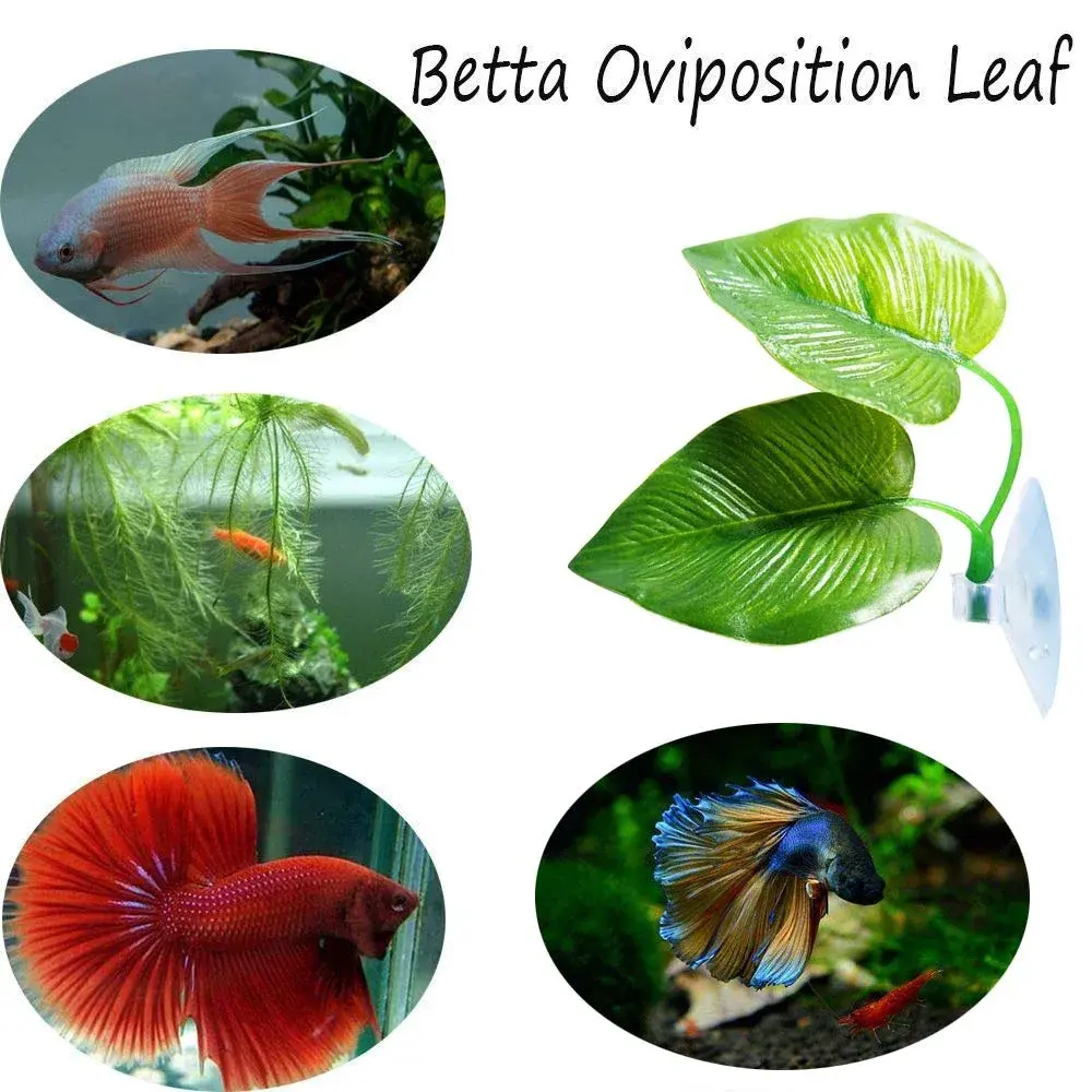 CousDUoBe 3 Pack Betta Fish Leaf Pad Hammock | Simulates Natural Habitat for Betta Health - view 4