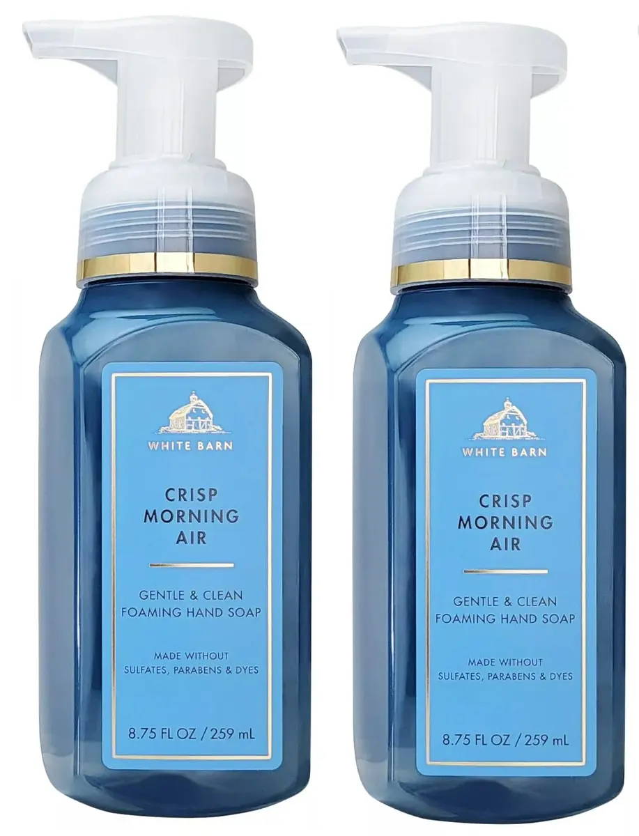 Bath & Body Works 2 Pack Crisp Morning Air Gentle Foaming Hand Soap 8.75 Oz | Refreshing Pine & Pear Scent for Sensitive Skin - main product image