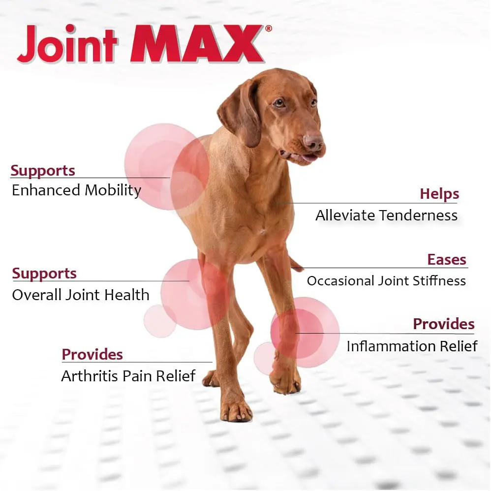 Joint Max TS Granules for Dogs 120 Doses | Supports Joint & Cartilage Health - view 3