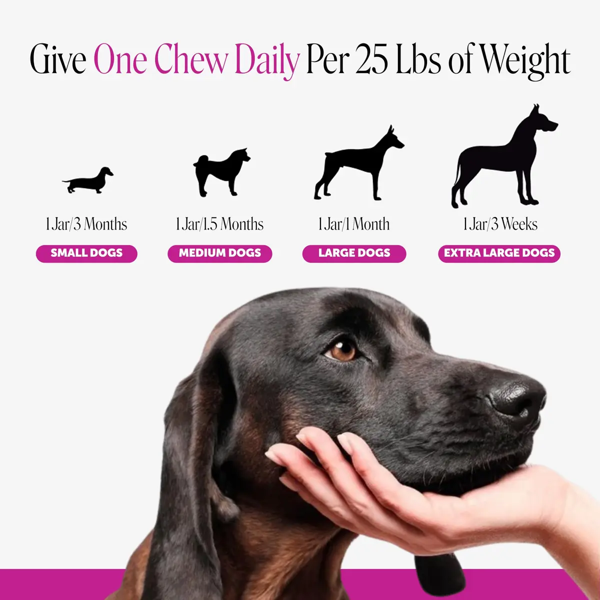 Pet Honesty Vet Recommended 10-in-1 Dog Multivitamin, 90 Ct, Chicken | Complete Dog Nutrition & Joint Support - view 6