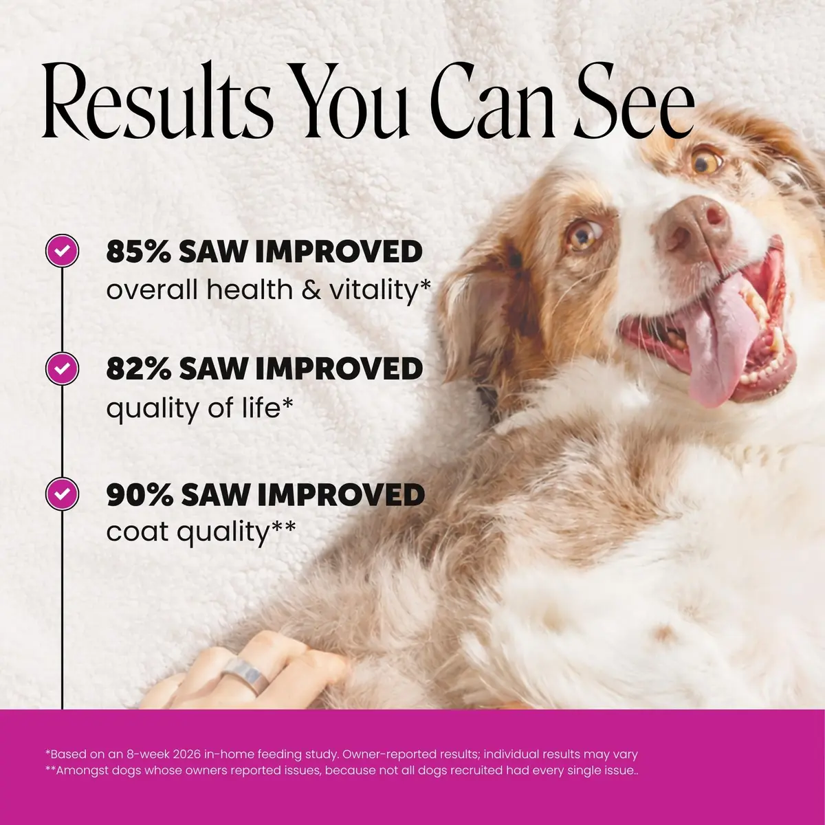 Pet Honesty Vet Recommended 10-in-1 Dog Multivitamin, 90 Ct, Chicken | Complete Dog Nutrition & Joint Support - view 2