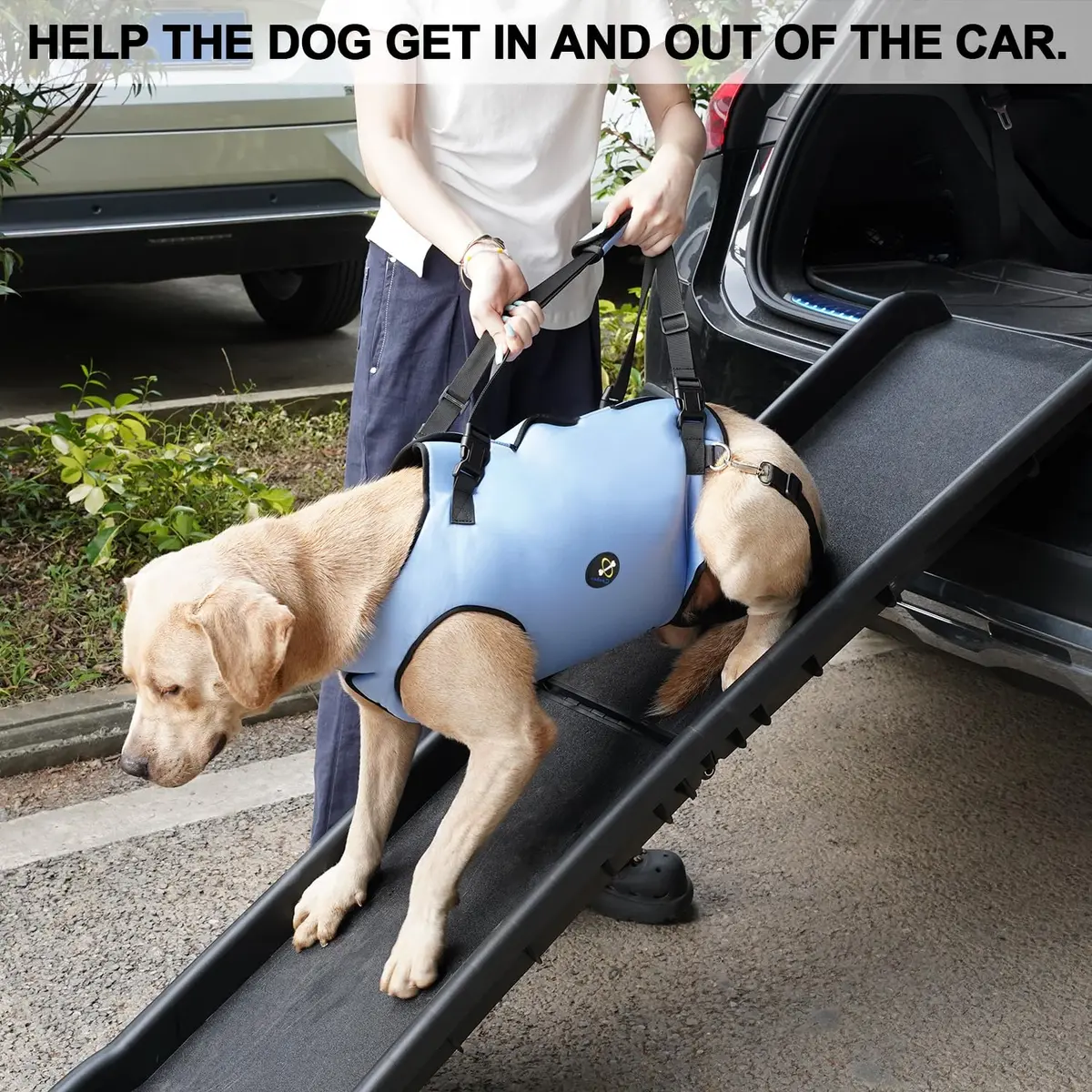 Coodeo Dog Lift Harness for Old & Disabled Dogs, XL Blue | Adjustable Padded Support Sling for Joint Injuries & Arthritis - view 5