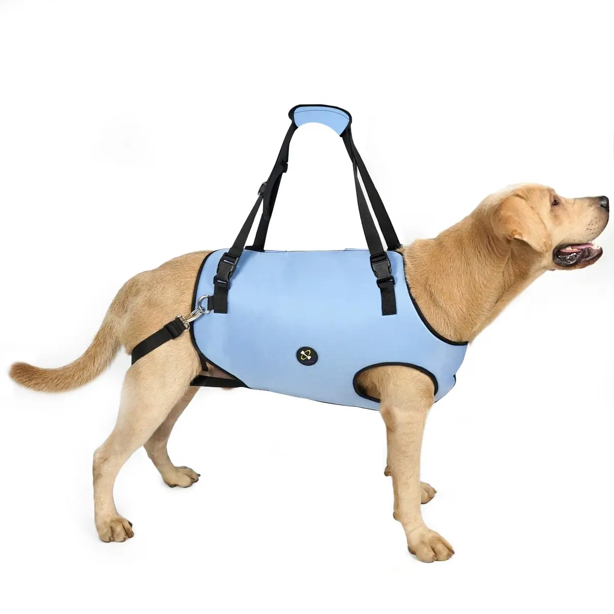 Coodeo Dog Lift Harness for Old & Disabled Dogs, Blue, Small (0.23 kg / 0.51 lb) | Adjustable Support Sling for Joint Injuries & Arthritis - main product image