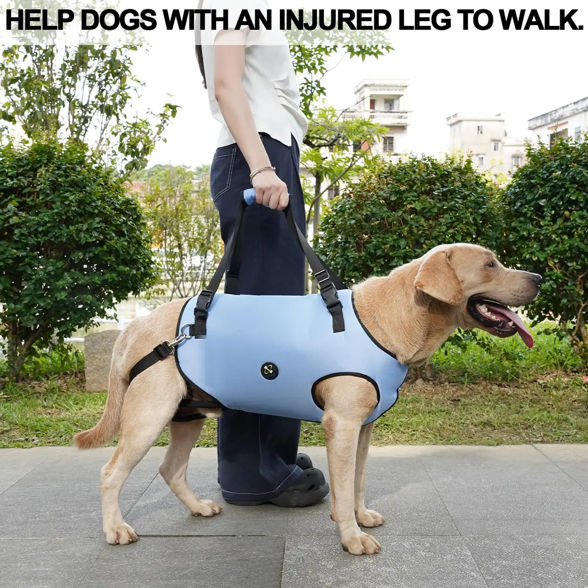 Coodeo Dog Lift Harness for Old & Disabled Dogs, Blue, Small (0.23 kg / 0.51 lb) | Adjustable Support Sling for Joint Injuries & Arthritis - view 6