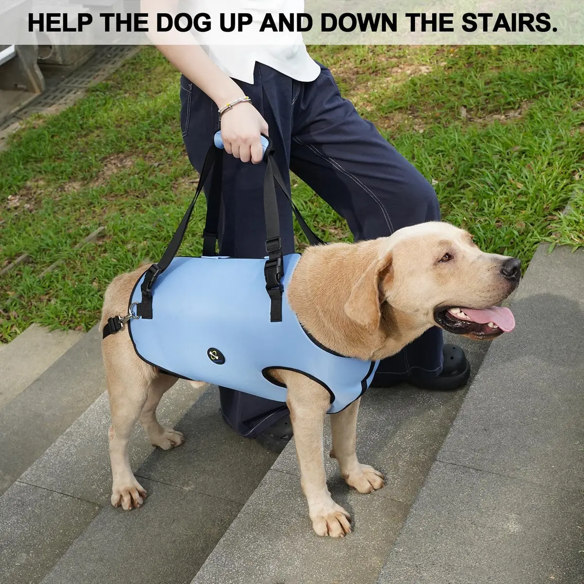 Coodeo Dog Lift Harness for Old & Disabled Dogs, Blue, Small (0.23 kg / 0.51 lb) | Adjustable Support Sling for Joint Injuries & Arthritis - view 2