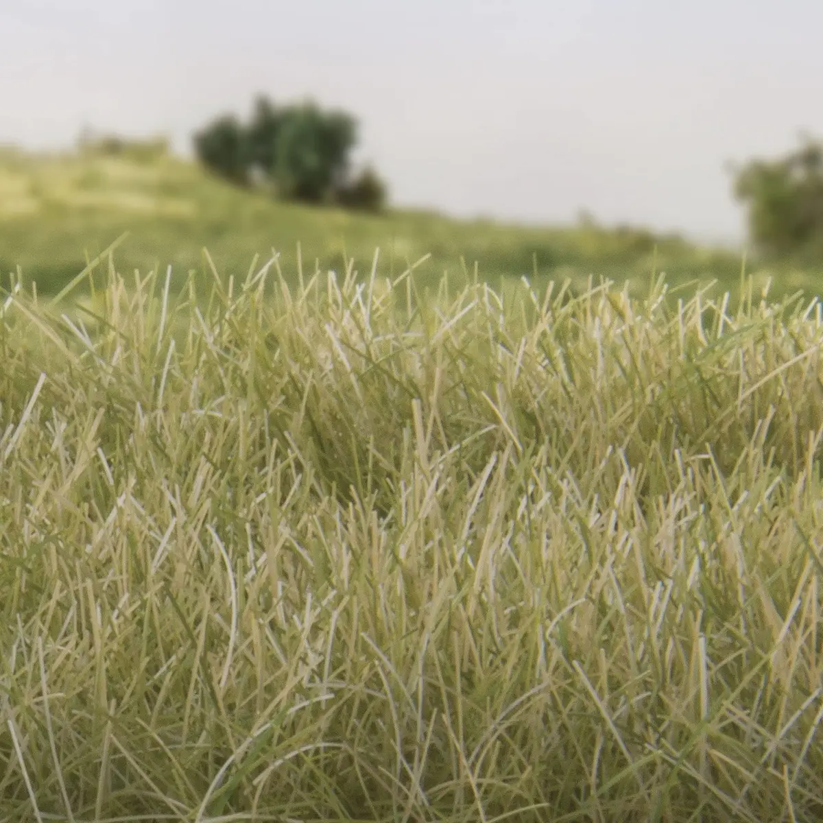 Woodland Scenics Static Grass 12mm-Light Green | Realistic Model Grass for Scenic Layouts - view 2