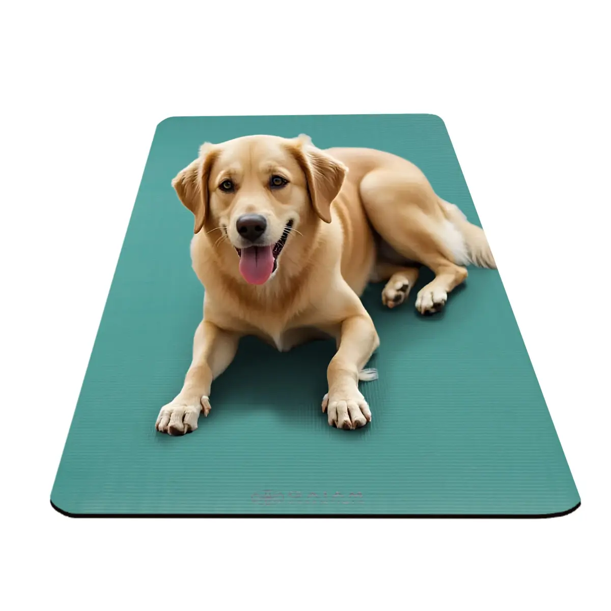 Gaiam Essentials Thick Yoga Mat with Easy-Cinch Strap (Teal, 10mm / 0.39 Inch) | Extra-Thick Cushioning for Joint Comfort - view 6