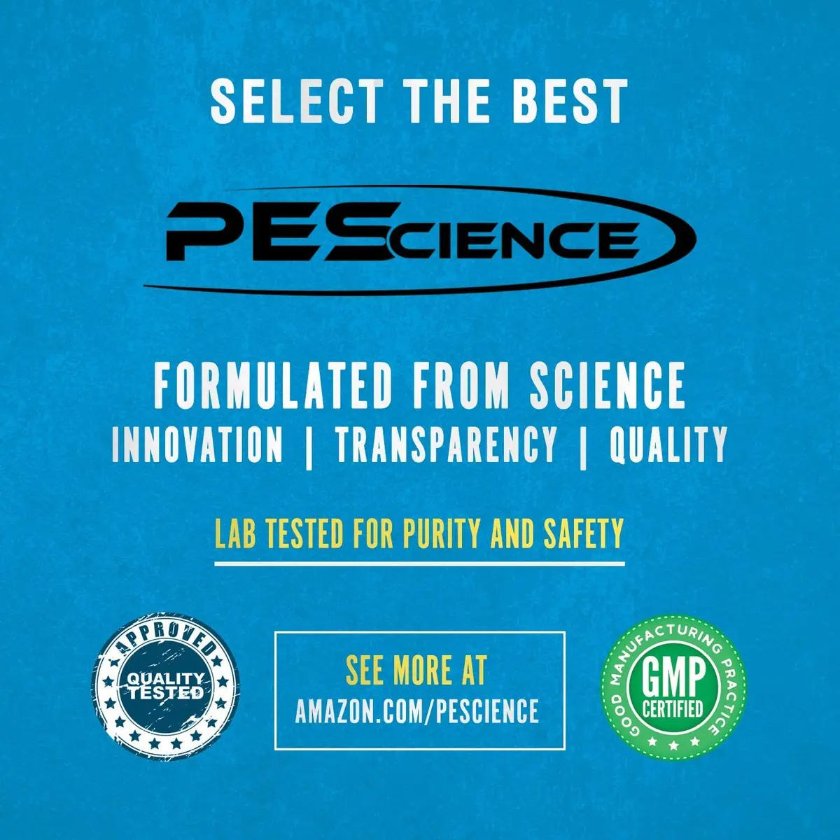 PEScience Select Vegan Protein Powder Cinnamon Delight | Plant-Based, Dairy & Gluten Free, 27 Servings - view 9