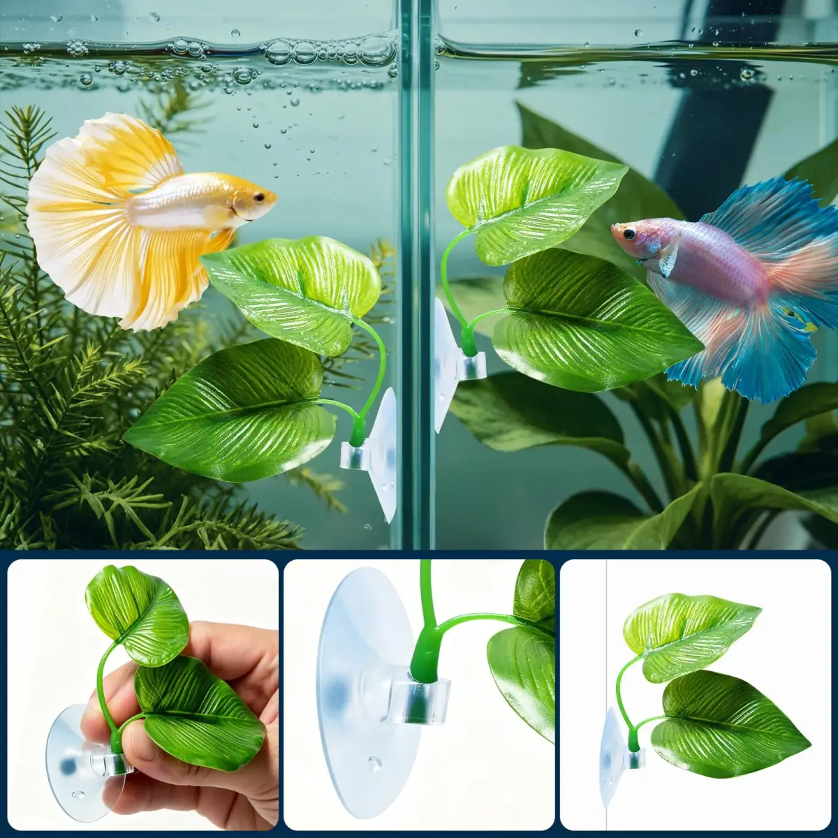 CousDUoBe 2 Pack Betta Fish Leaf Pad Hammock | Natural, Organic, Comfortable Rest Area for Fish Aquarium Ornaments - view 6