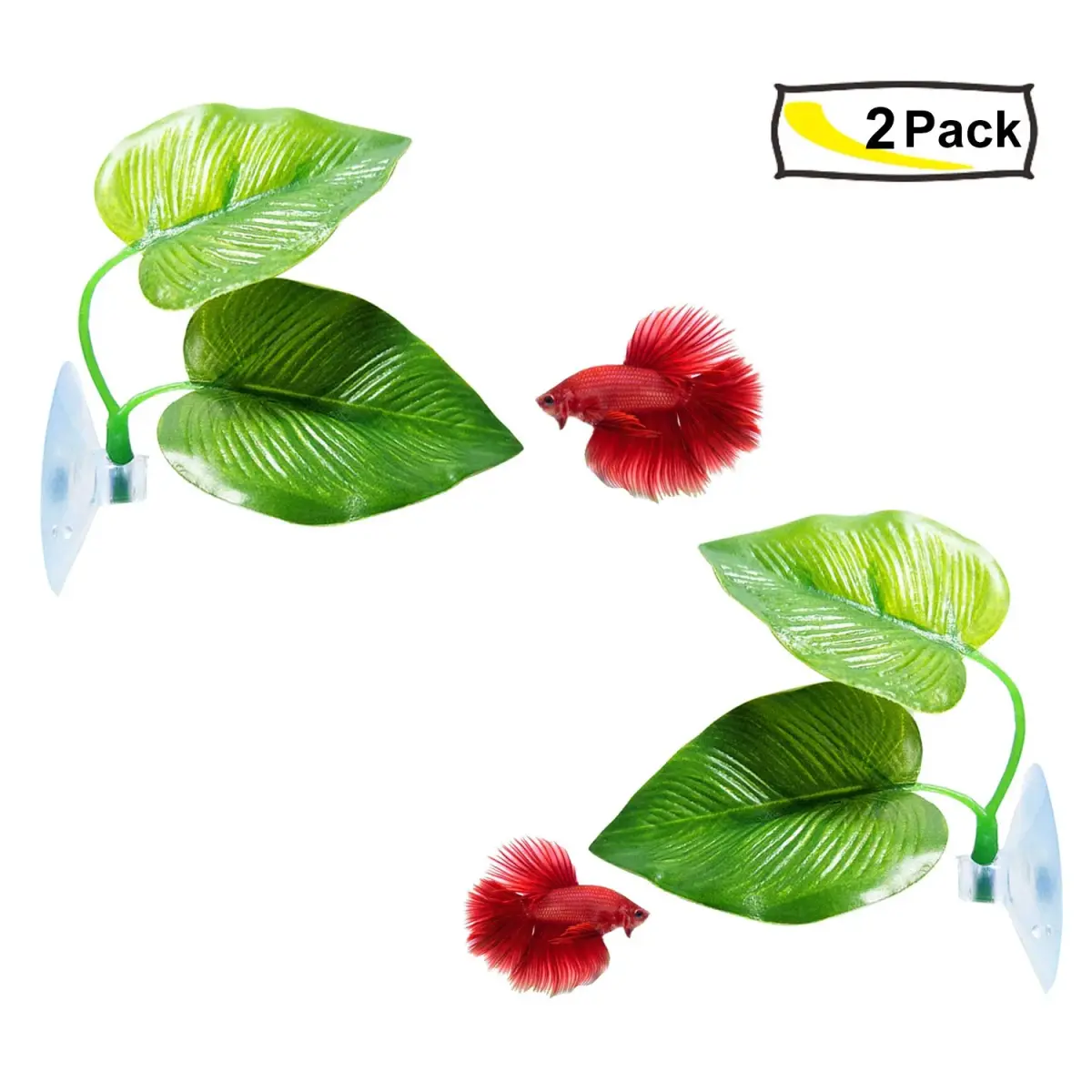 CousDUoBe 2 Pack Betta Fish Leaf Pad Hammock | Natural, Organic, Comfortable Rest Area for Fish Aquarium Ornaments - view 7