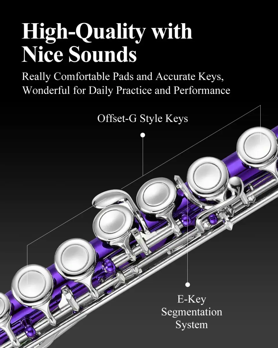 Eastar Closed Hole 16 Keys Flute for Beginner Kids Student with Fingering Chart, Cleaning Kit, Stand, Case, Gloves, Tuning Rod, Purple | Beginner Concert Flute - view 3