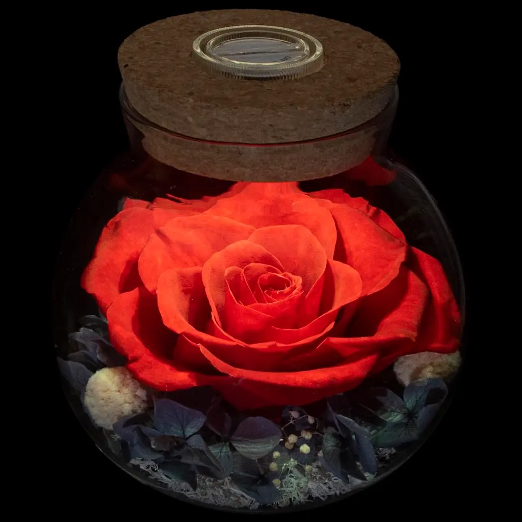 roliys Preserved Real Roses with Colorful Mood Light Wishing Bottle | Eternal Flower Decor - main product image