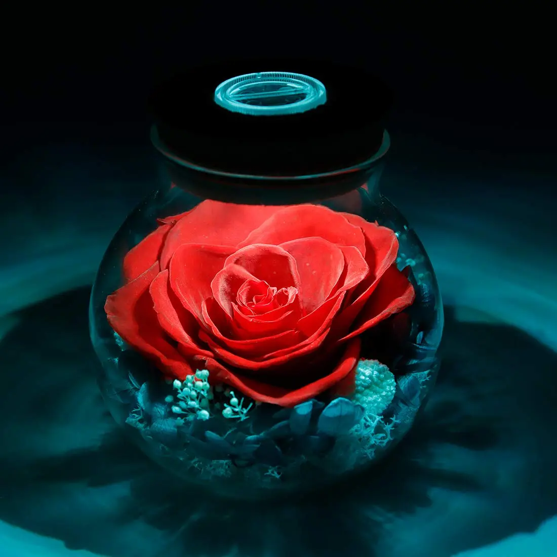 roliys Preserved Real Roses with Colorful Mood Light Wishing Bottle | Eternal Flower Decor - view 5