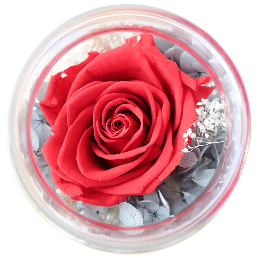 roliys Preserved Real Roses with Colorful Mood Light Wishing Bottle | Eternal Flower Decor - view 8