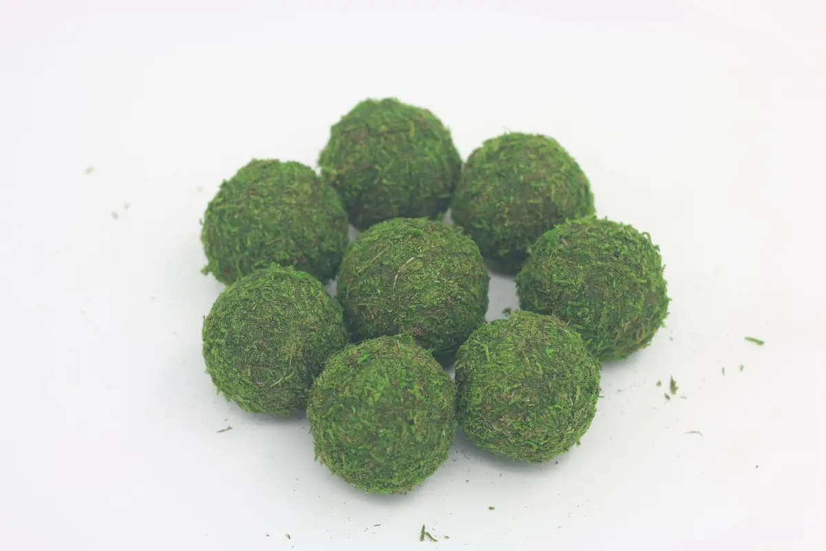 Nice purchase Handmade Natural Green Plant Moss Balls Decorative for Home Party Display Decor Props (2 in) - view 5