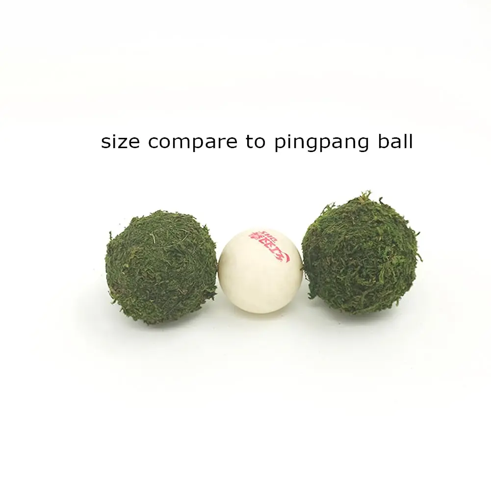 Nice purchase Handmade Natural Green Plant Moss Balls Decorative for Home Party Display Decor Props (2 in) - view 3