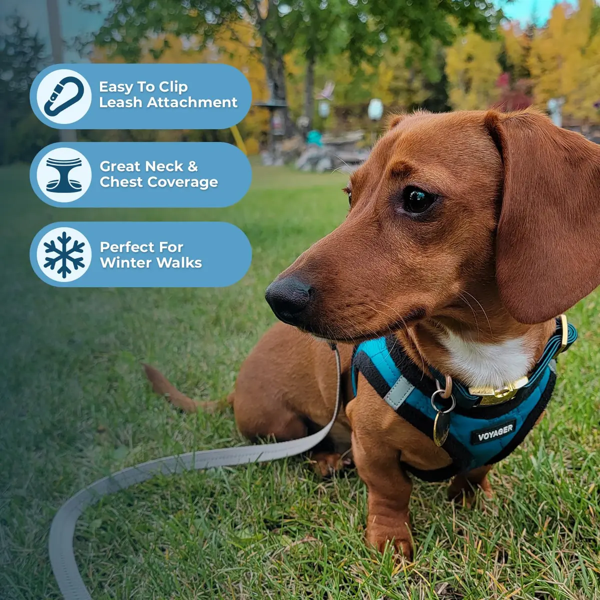Best Pet Supplies Voyager Step-in Plush Dog Vest Harness -Turquoise Plush, XS | Breathable, Reflective & Easy to Wear - view 5