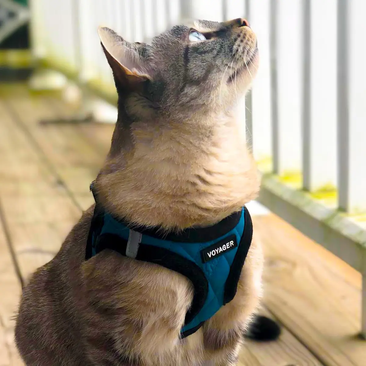 Best Pet Supplies Voyager Step-in Plush Dog Vest Harness -Turquoise Plush, XS | Breathable, Reflective & Easy to Wear - view 8