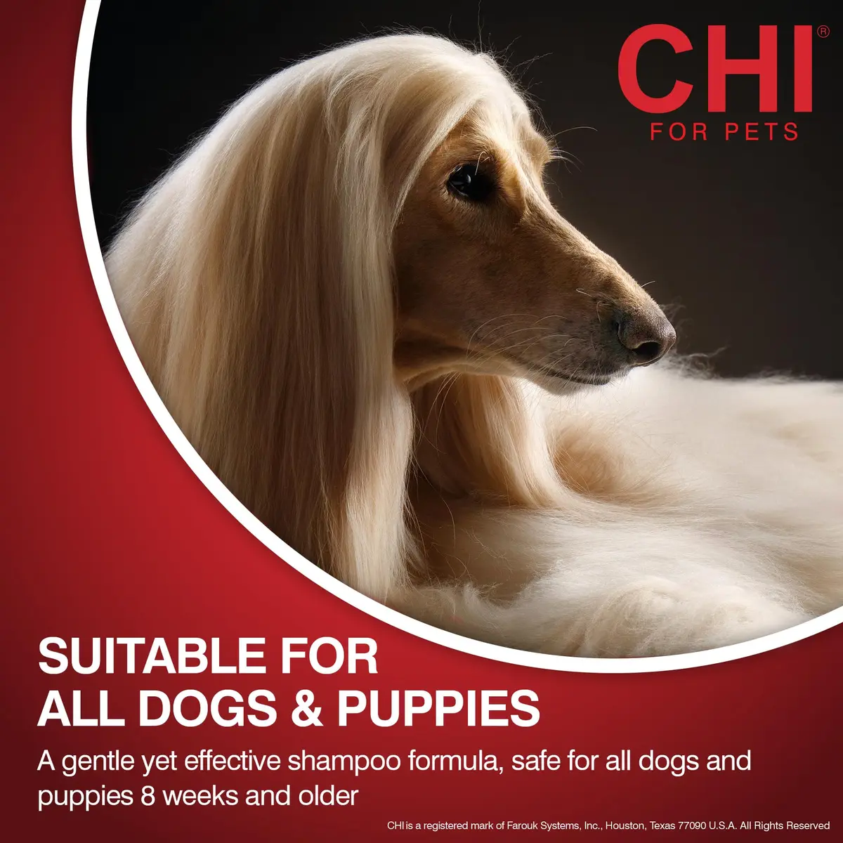 CHI for Dogs Tearless Puppy Shampoo 16 Fl Oz | Gentle, Silk Protein Formula, Hypoallergenic & pH Balanced for Sensitive Eyes - view 5