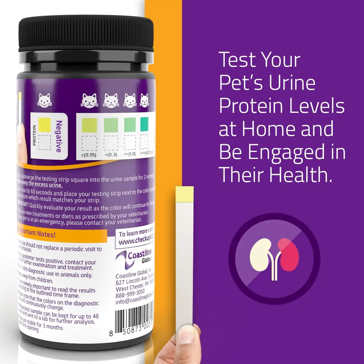 KIT4CAT CheckUp Protein Urine Test Strips for Cats & Dogs, 50 Count | Non-Invasive Pet Health Monitoring - view 3