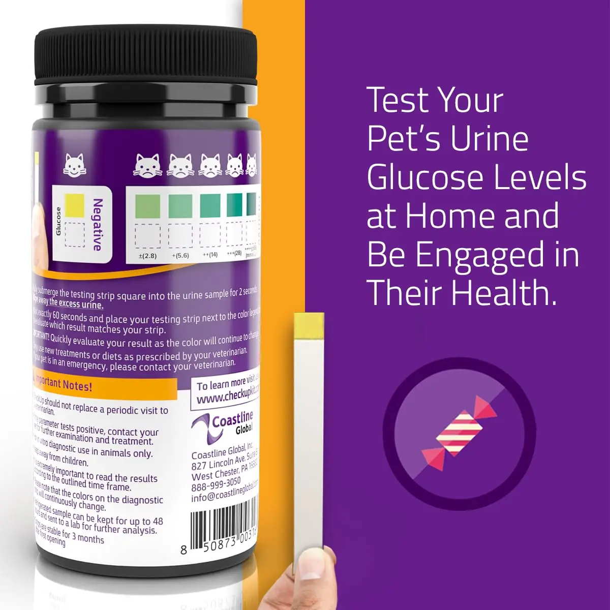 KIT4CAT CheckUp Glucose Urine Testing Strips for Cats and Dogs, 50 Count | Detects Glucose Levels in 60 Seconds - view 3