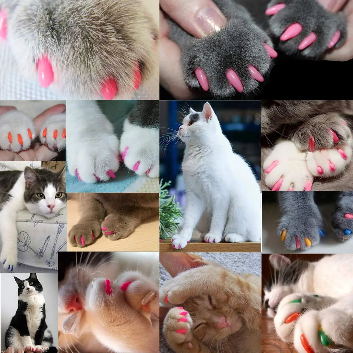 VICTHY Cat Nail Caps 140pcs (14 Colors) Small | Safe Adhesive & Applicators - view 2