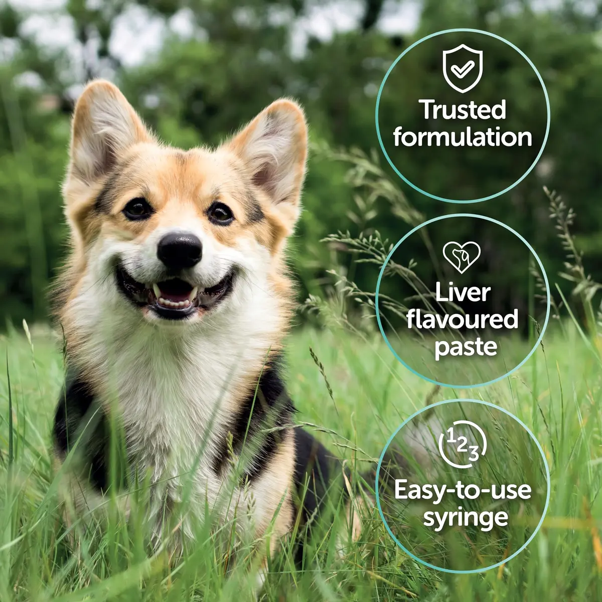 Protexin Veterinary Pro-Kolin Advanced for Dogs 30ml (1.01 Fl Oz) | Probiotic & Prebiotic Digestive Support - view 3