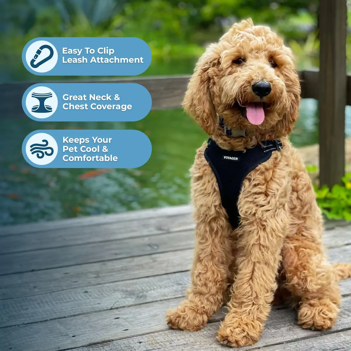 Best Pet Supplies Voyager Step-in Flex Dog Harness - Black, XL | Adjustable, Reflective, All Weather - view 5