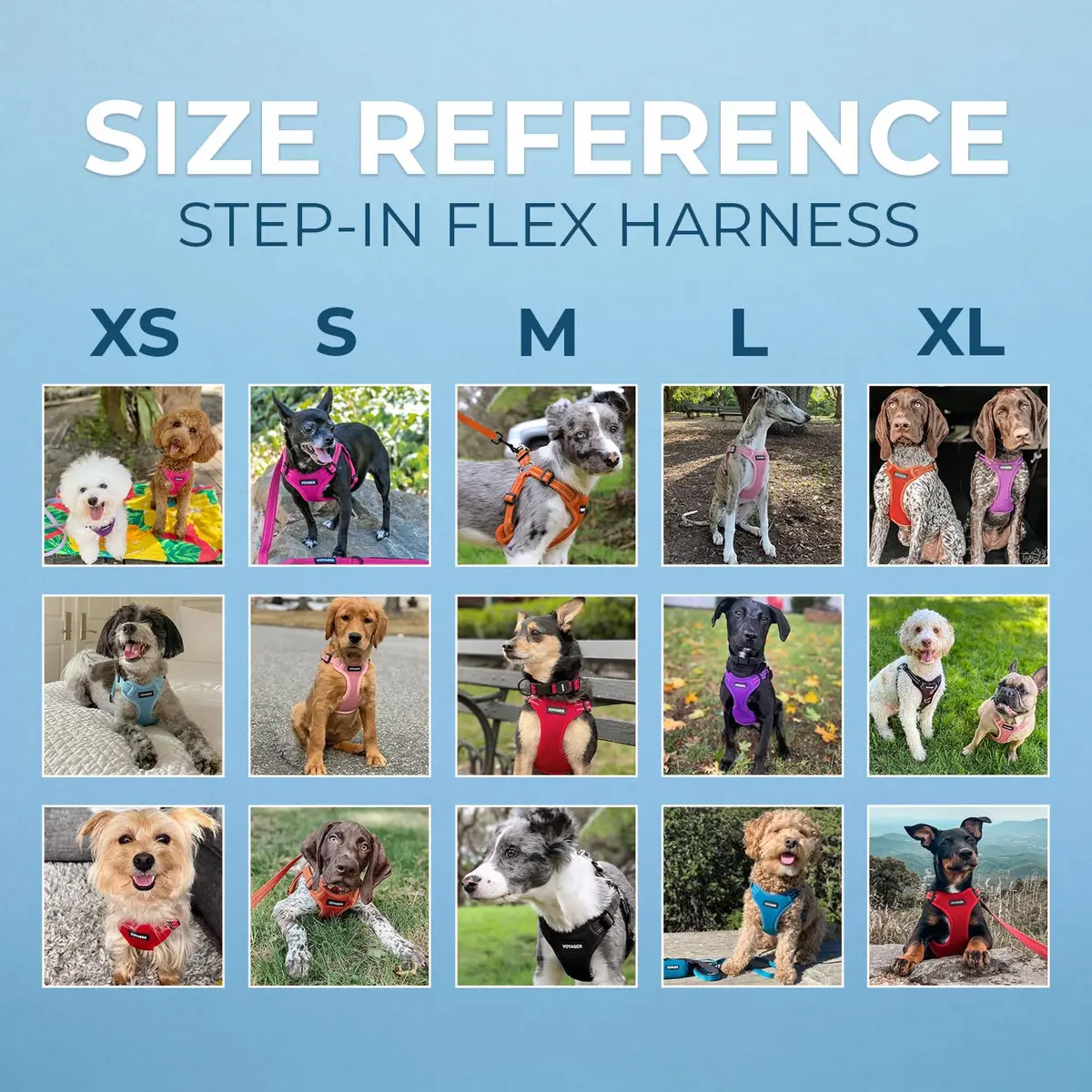 Best Pet Supplies Voyager Step-in Flex Dog Harness - Black, XL | Adjustable, Reflective, All Weather - view 6