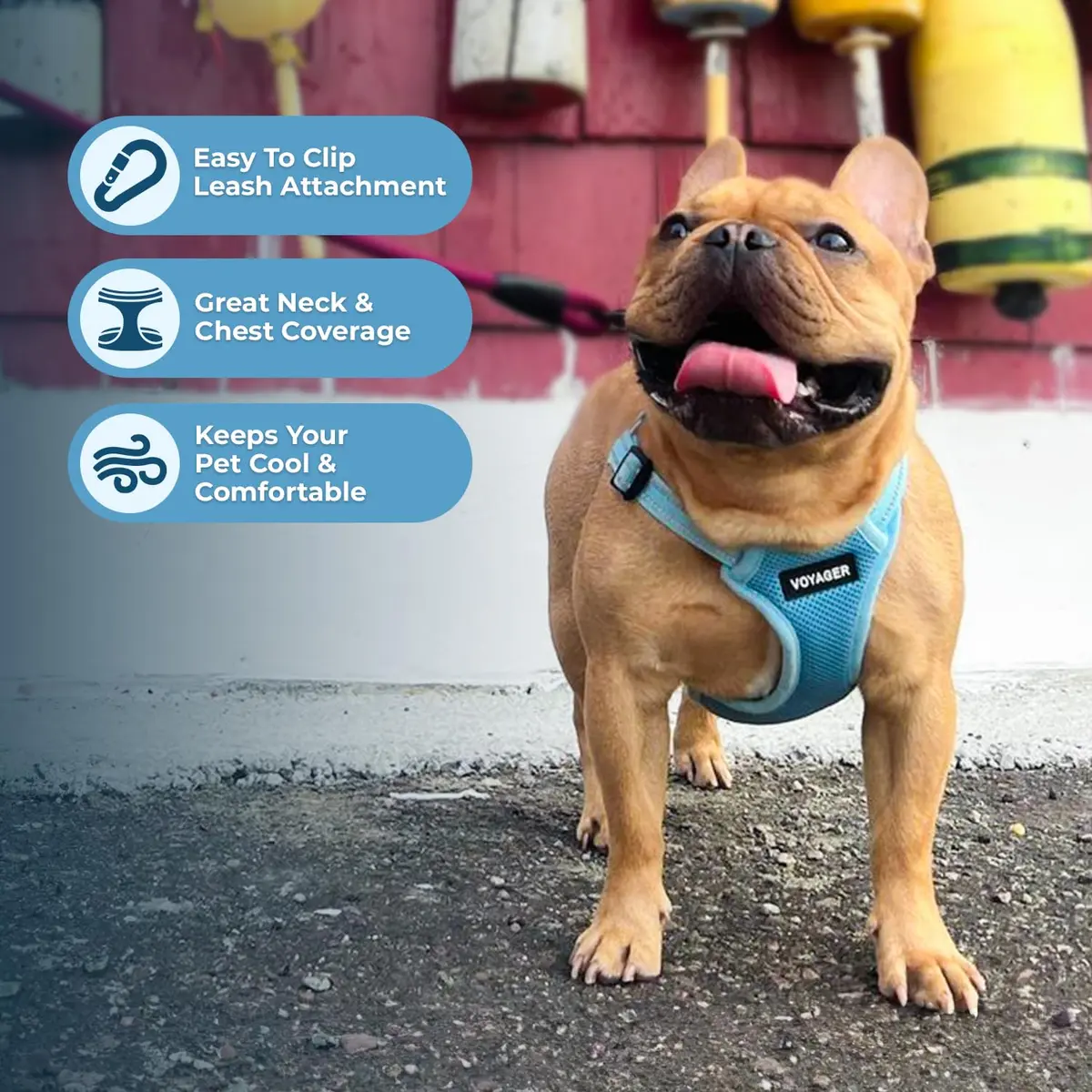Best Pet Supplies Voyager Adjustable Step-In Mesh Dog Harness for Small Medium Large Dogs (Baby Blue), L | Breathable & Reflective Fit - view 5
