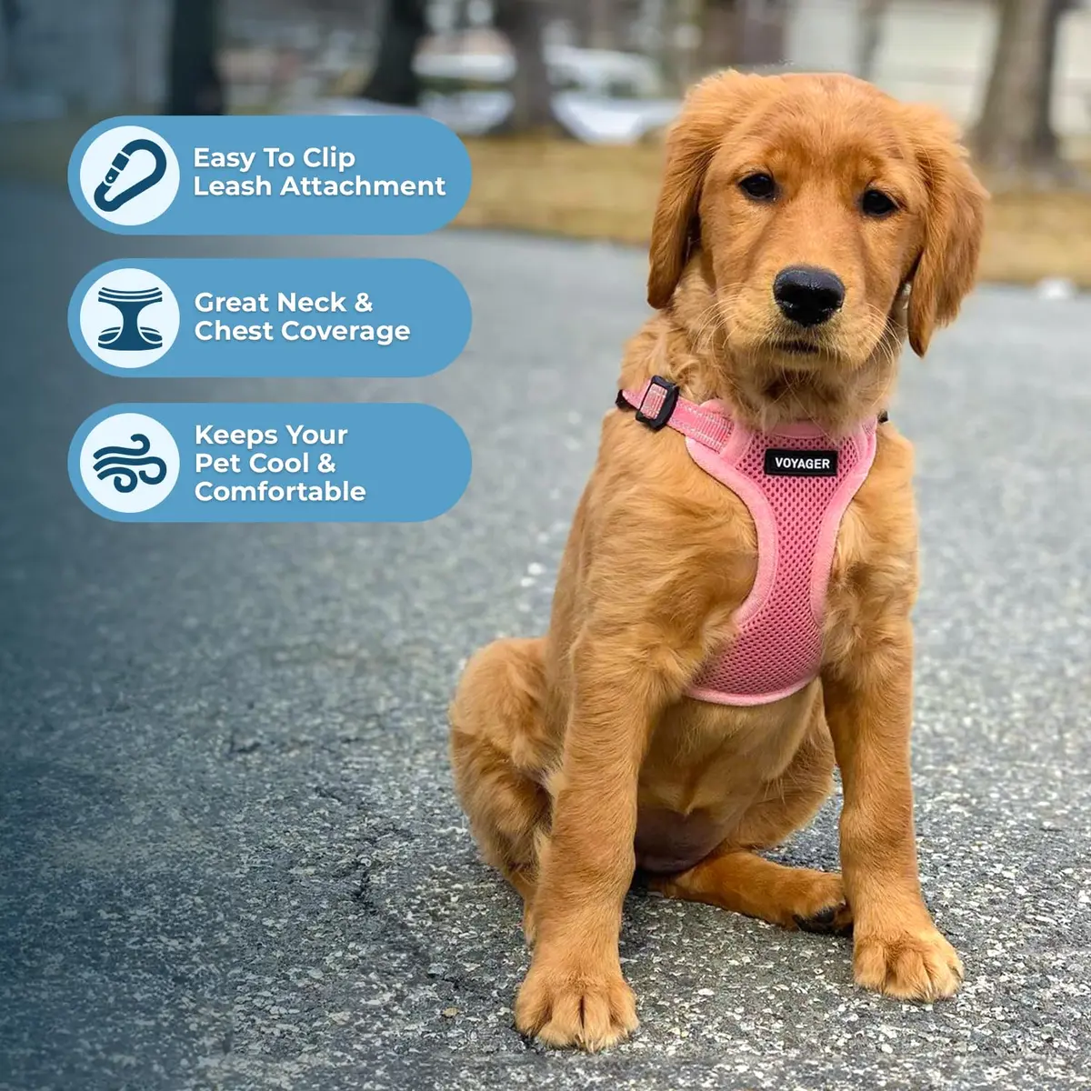 Best Pet Supplies Voyager Step-in Flex Dog Harness - Pink, Medium | Adjustable, Breathable & Reflective - view 5