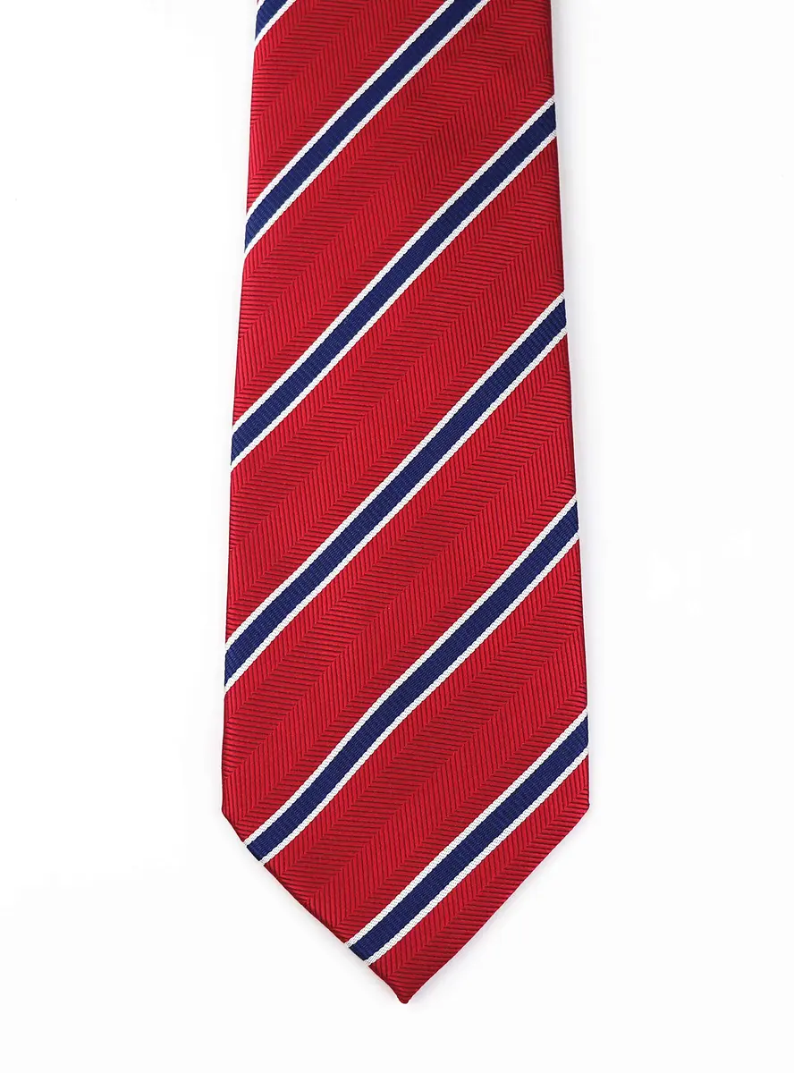 Elfeves Men's Modern Striped Patterned Formal Ties One Size | Microfiber, Trendy & Durable (70-120 chars) - view 4