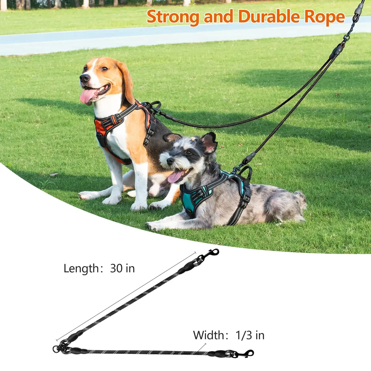 Taglory 30 Inch Black Double Dog Leash Coupler for Small & Medium Dogs | Tangle-Free 360° Swivel Dual Leash Extension - view 5
