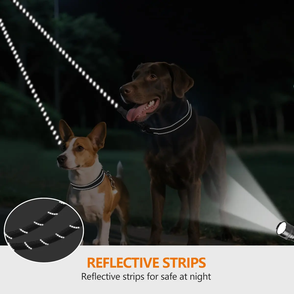 Taglory 30 Inch Black Double Dog Leash Coupler for Small & Medium Dogs | Tangle-Free 360° Swivel Dual Leash Extension - view 4