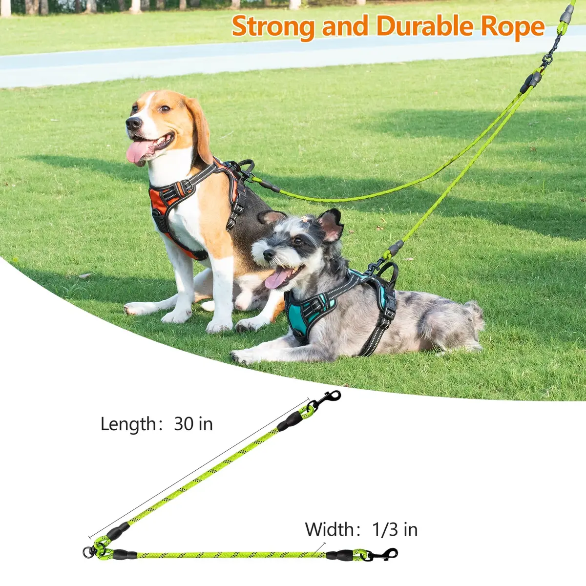 Taglory Double Dog Leash Coupler for Two Dogs, 30 Inch (76.2 cm) Green | Tangle-Free Walks with Reflective Rope - view 5