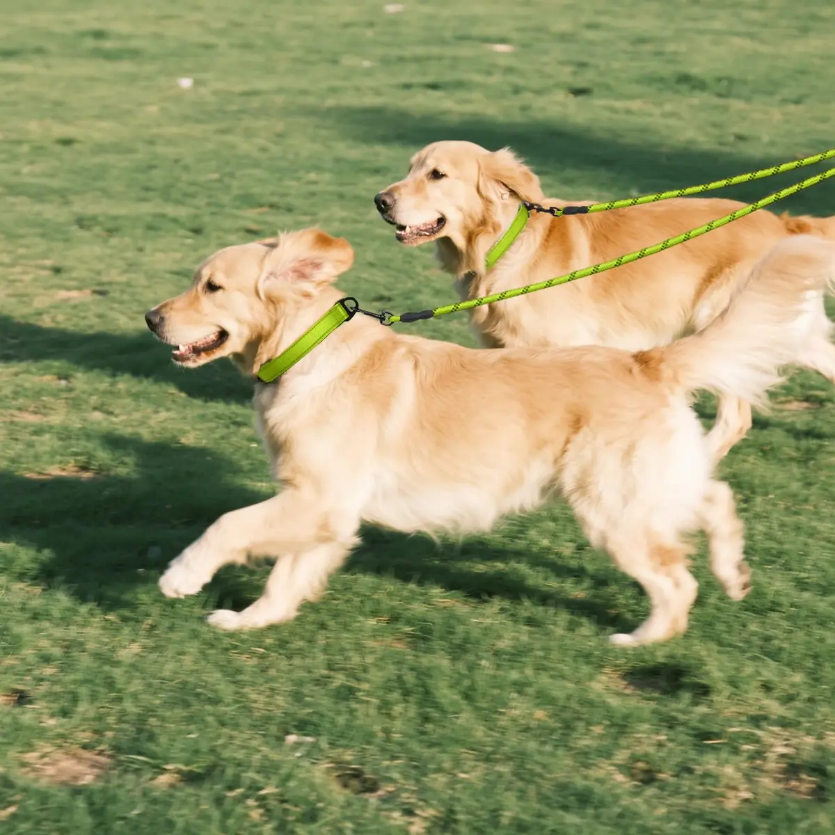 Taglory Double Dog Leash Coupler for Two Dogs, 30 Inch (76.2 cm) Green | Tangle-Free Walks with Reflective Rope - view 7