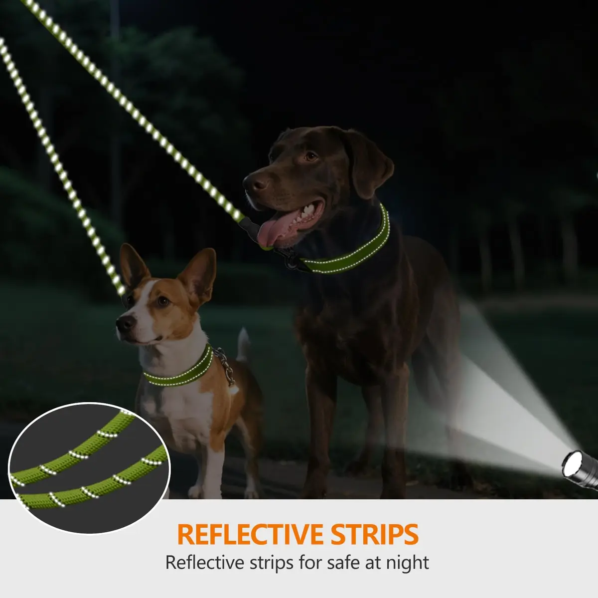 Taglory Double Dog Leash Coupler for Two Dogs, 30 Inch (76.2 cm) Green | Tangle-Free Walks with Reflective Rope - view 4