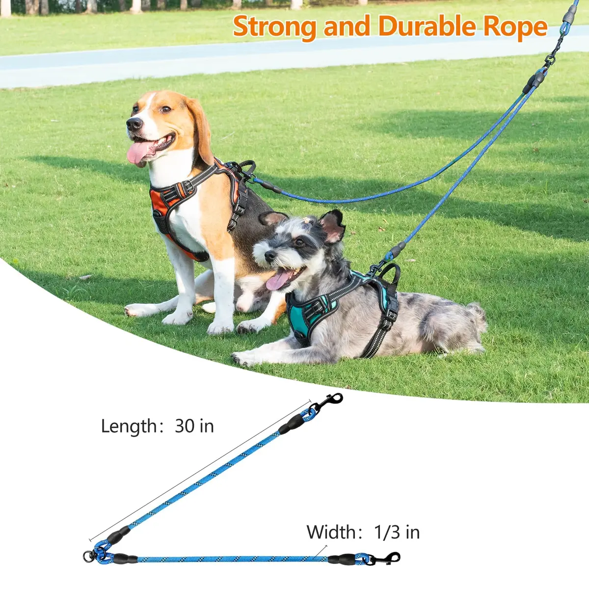 Taglory Blue Double Dog Leash Coupler 76.2cm (30 Inch) | Tangle-Free Swivel for Small & Medium Dogs - view 5