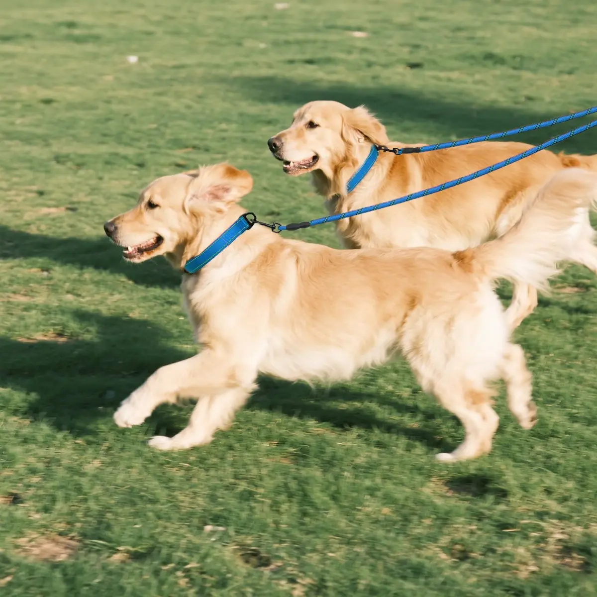 Taglory Blue Double Dog Leash Coupler 76.2cm (30 Inch) | Tangle-Free Swivel for Small & Medium Dogs - view 7